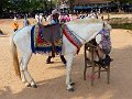 Angkor Wat P0060